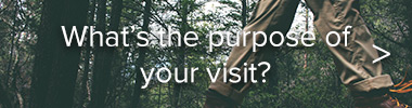 What's the purpose of your visit?